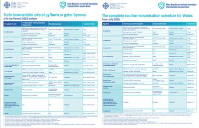 Trefn imiwneiddio arferol gyflawn ar gyfer Cymruo o fis Gorffennaf 2025 ymlaen | The complete routine immunisation schedule for Wales from July 2025
