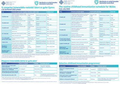 Yr amserlen imiwneiddio reolaidd i blant ar gyfer Cymru o fis Gorffennaf 2025 ymlaen | The routine childhood immunisation schedule for Wales from July 2025