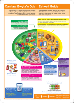 Poster A3 Bwyta'n iach / Eat Well A3 Poster