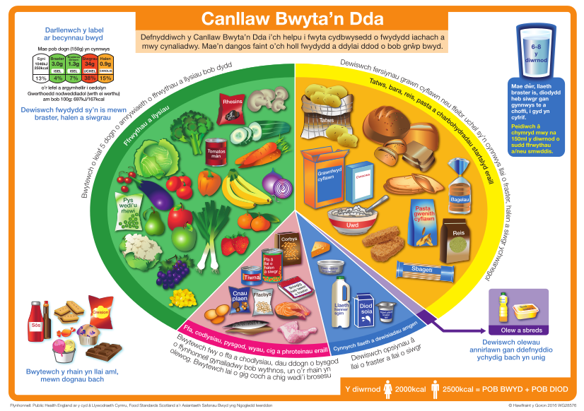Canllaw Bwyta&#39;n Iach A5 / Eat Well Guide A5 leaflet