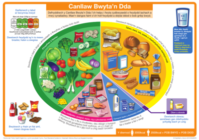 Canllaw Bwyta'n Iach A5 / Eat Well Guide A5 leaflet
