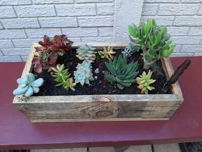 Wooden Planters