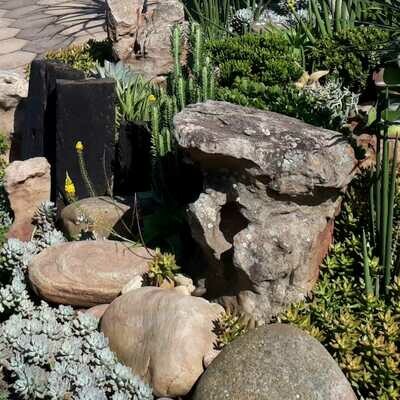 Landscaping
