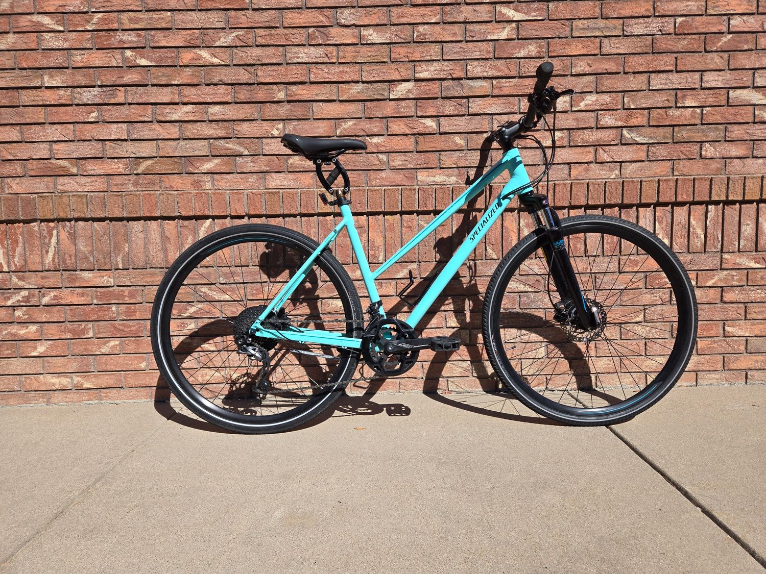 Teal Specialized Ariel, LG