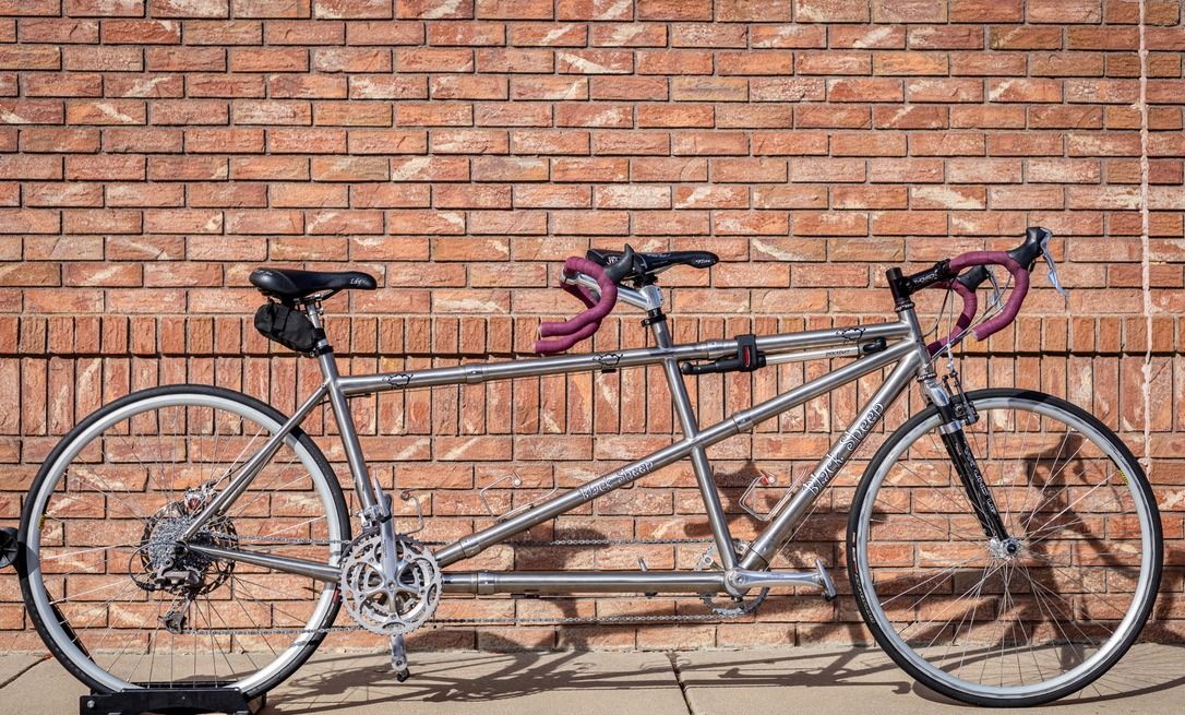 Titanium Black Sheep Tandem, F: Medium-Large (Adjustable), R:Small