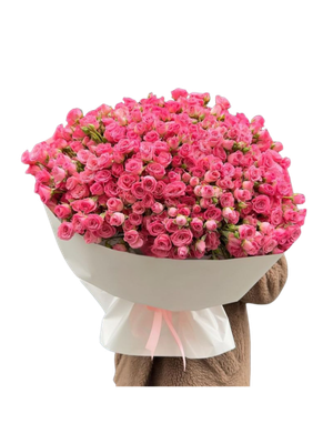 Pink Baby Roses Bouquet – Soft Elegance in Bloom Pink Baby Roses Bouquet – Soft Elegance in Bloom