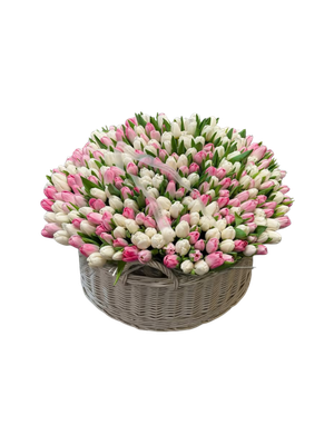 White and Pink Tulip Basket Arrangement – Elegant Spring Luxury