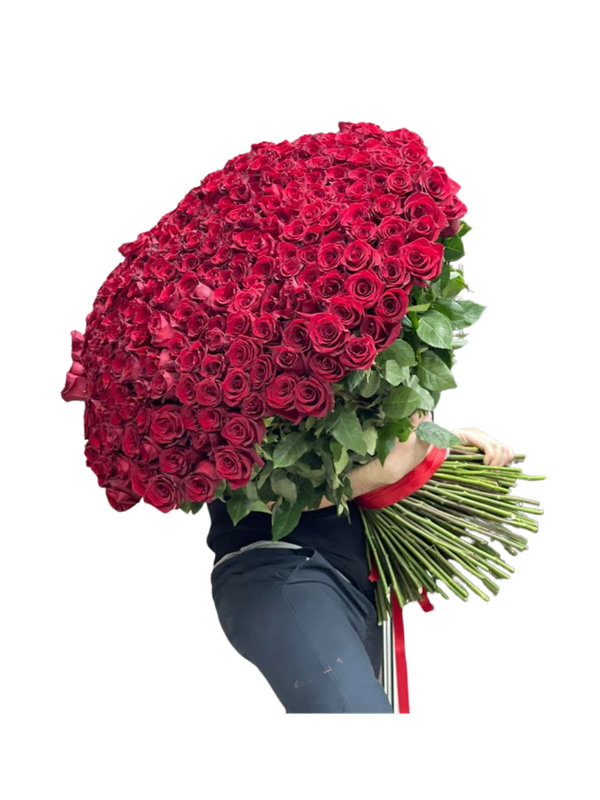 300 Red Roses Bouquet – The Ultimate Romantic Statement