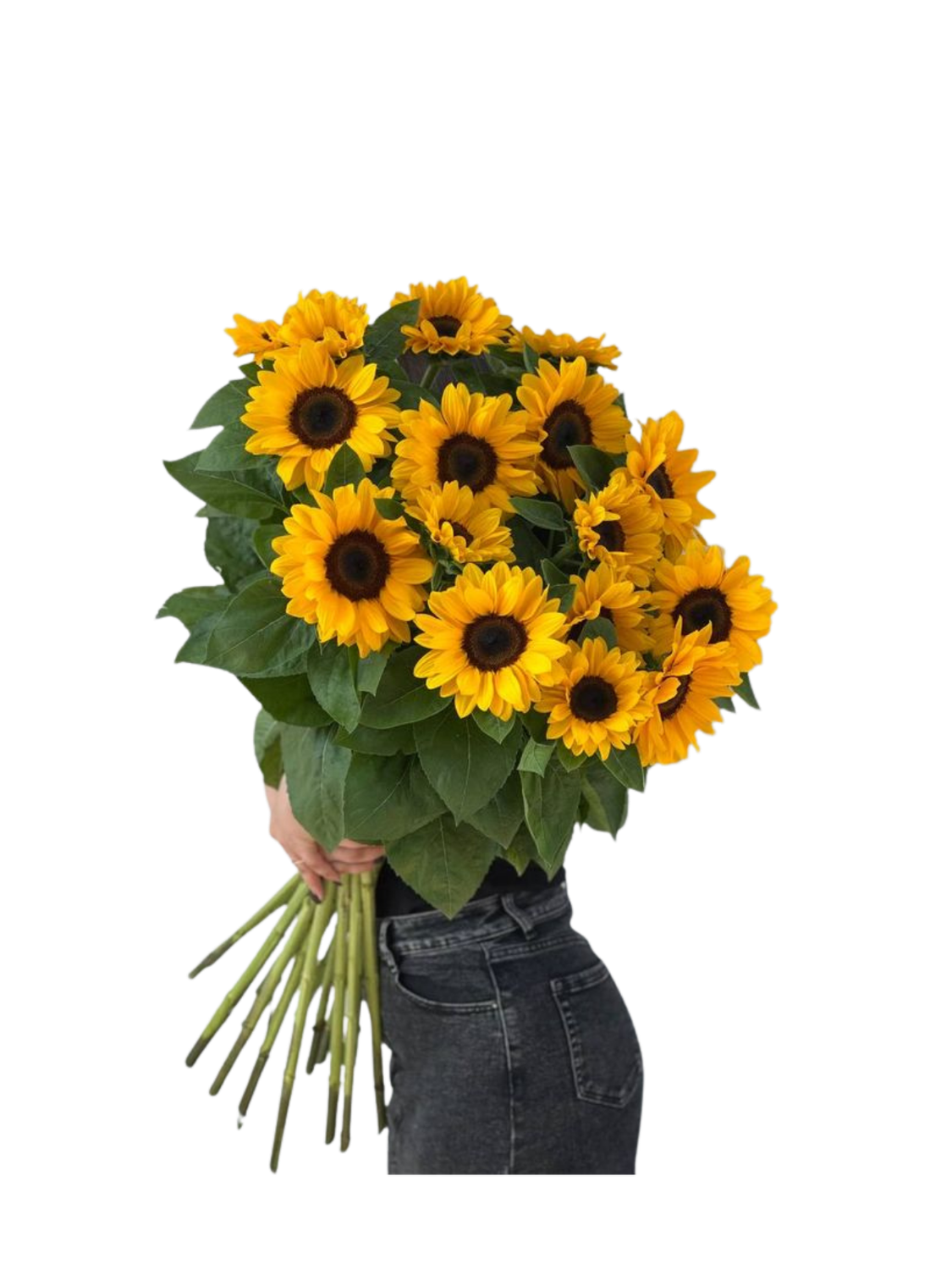 12 Sunflower Bouquet – Bright & Cheerful Floral Gift 12 Sunflower Bouquet – Bright & Cheerful Floral Gift