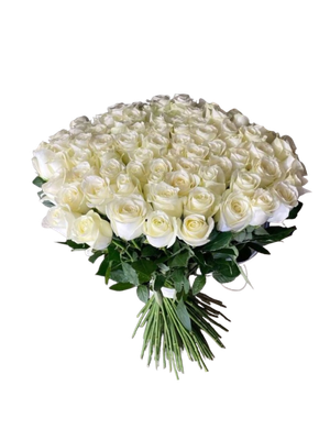 100 White Rose Bouquet – A Grand Expression of Elegance 100 White Rose Bouquet – A Grand Expression of Elegance