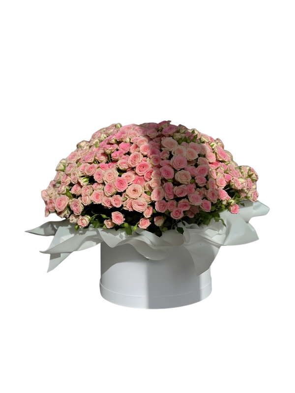 Light Pink Baby Rose Box Arrangement