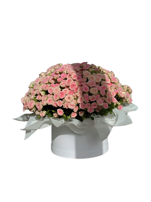 Light Pink Baby Rose Box Arrangement