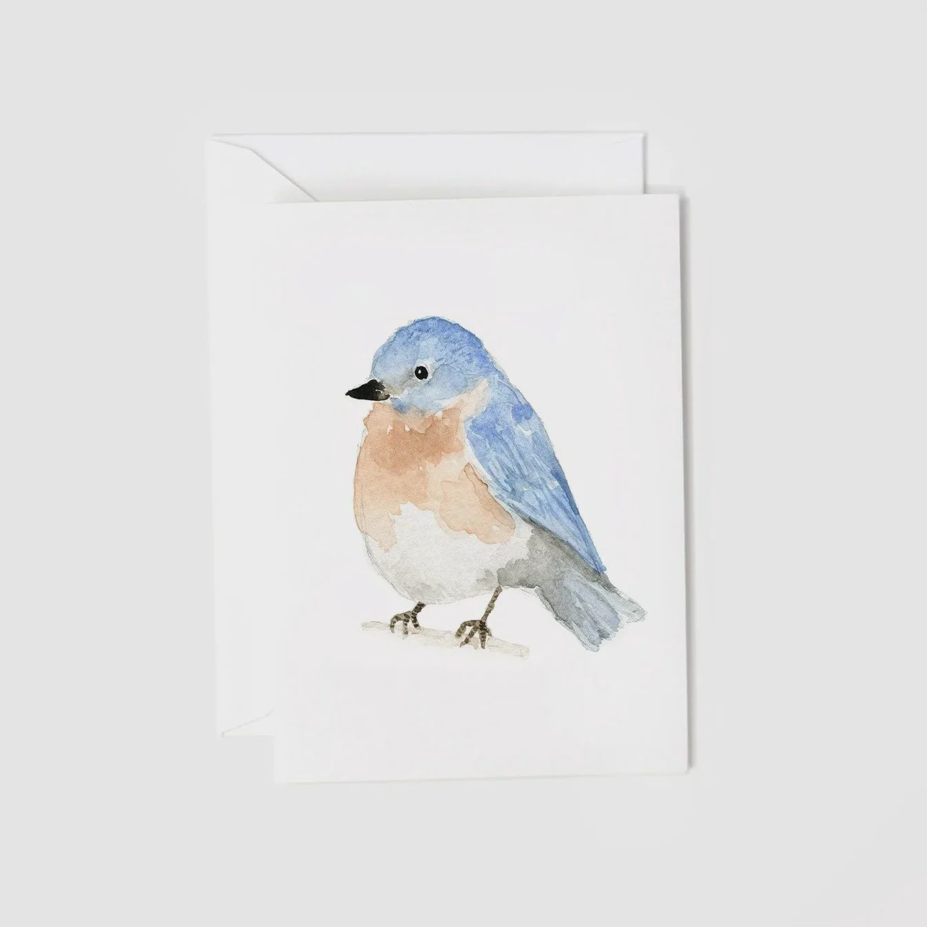 Bluebird mini notcard