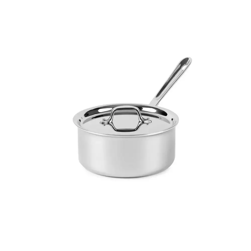 3Qt Stainless Steel Sauce pan with rim w/ lid