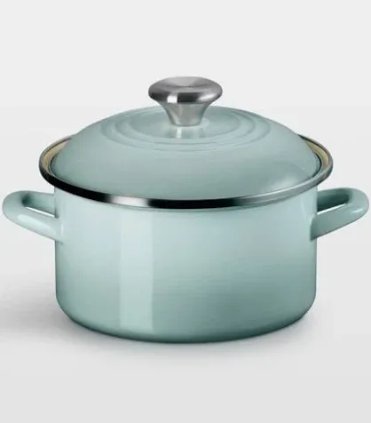 3.8 qt Sea Salt Traditional Stock Pot Ss