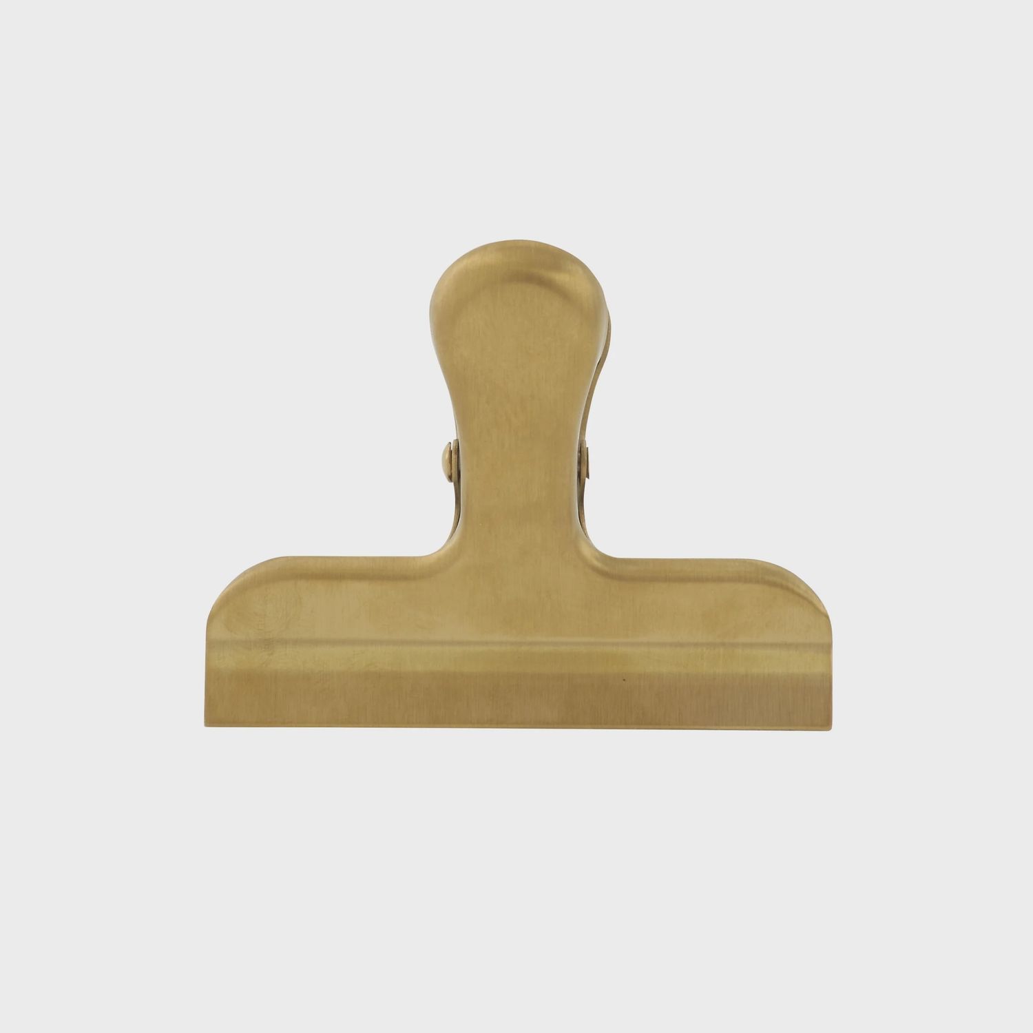Stainless Steel Clip- Gold Finish