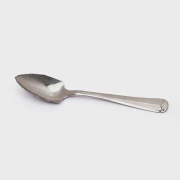 Endurance Grapefruit Spoon