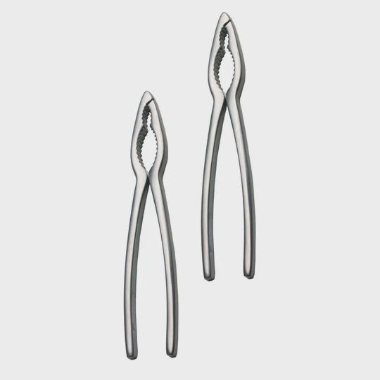 Crab Crackers Set/2 Stainless Steel