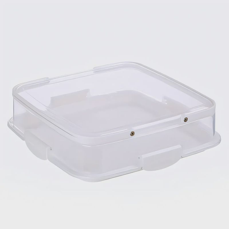 Snap lock pie &amp; entertaining carrier