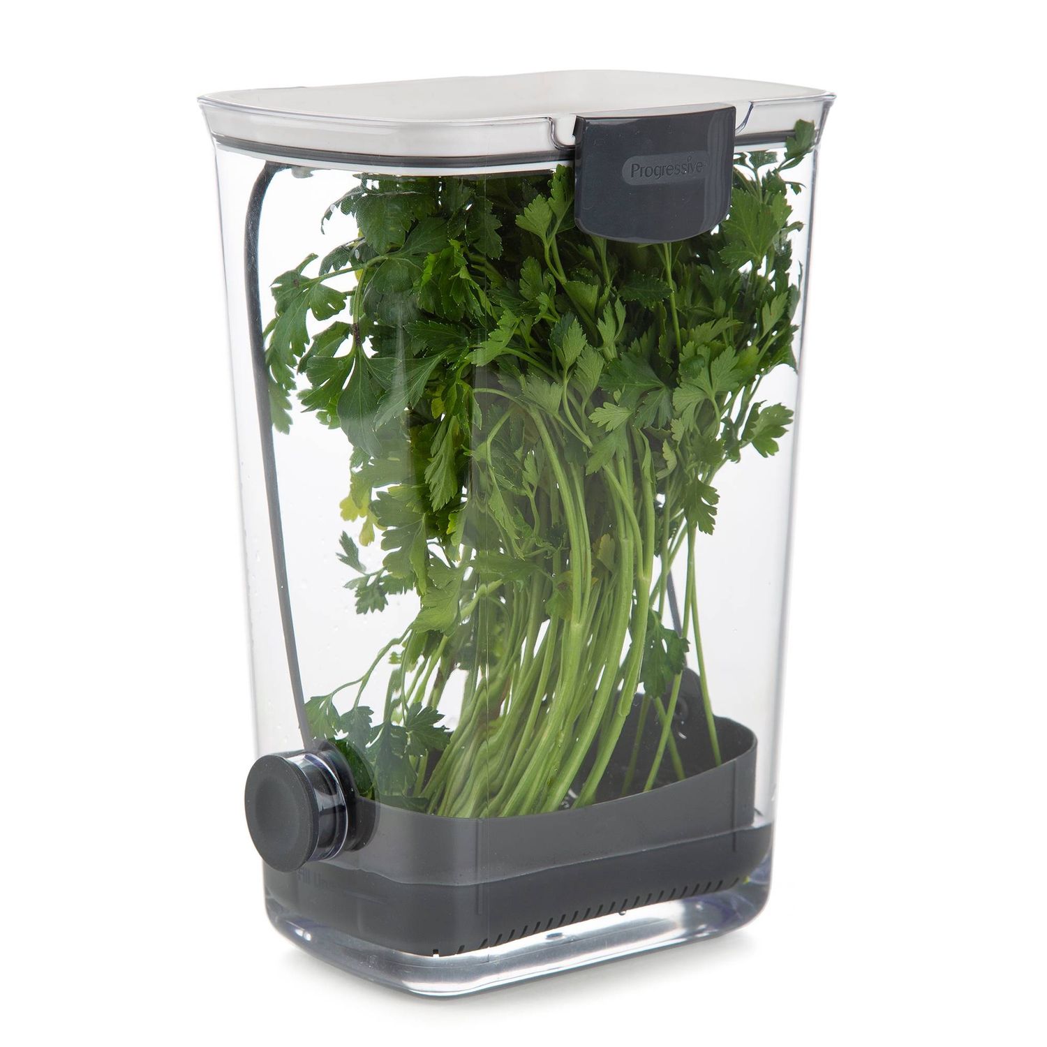 Herb Prokeeper