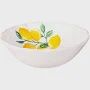 Coastal Citrus Bowl Melamine Serving Bowl 14"