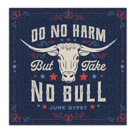 American BOHO Quick Dry Dish Cloths - Set of 3