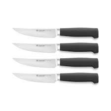 Partner 4 pc Steak Knife Set 4.5"