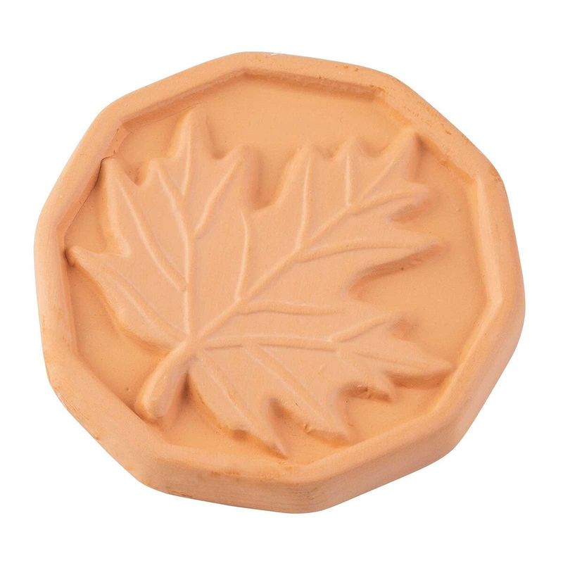 Brown Sugar Saver - Leaf