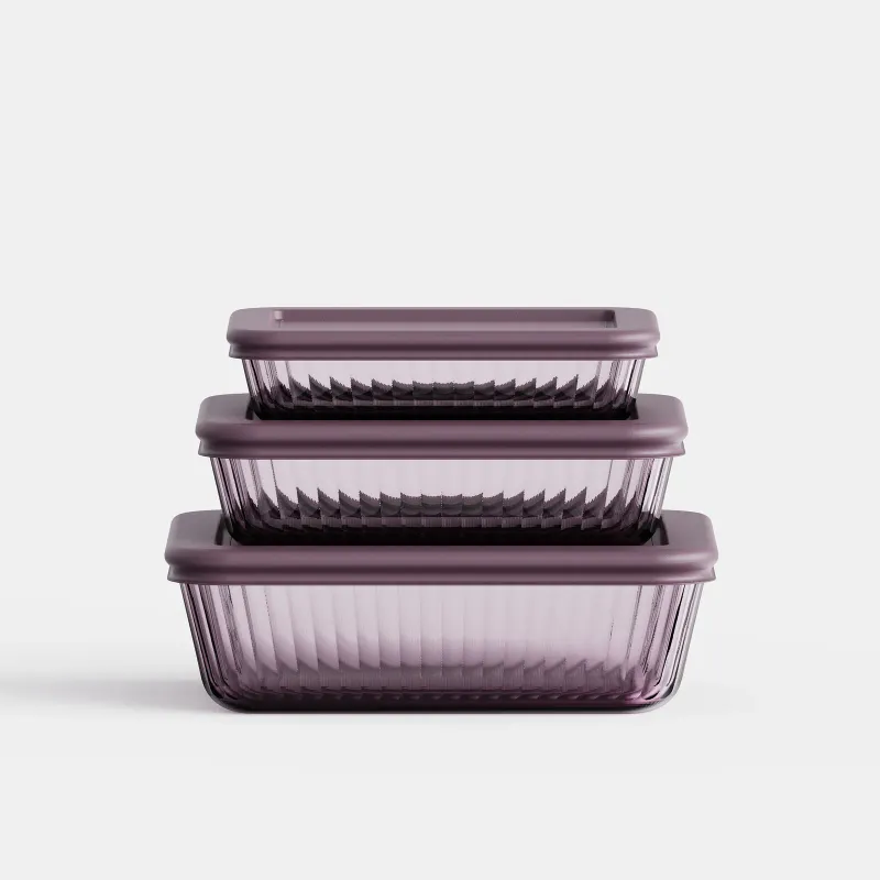 Tinted Rectangular Container - Set of 3 - Purple