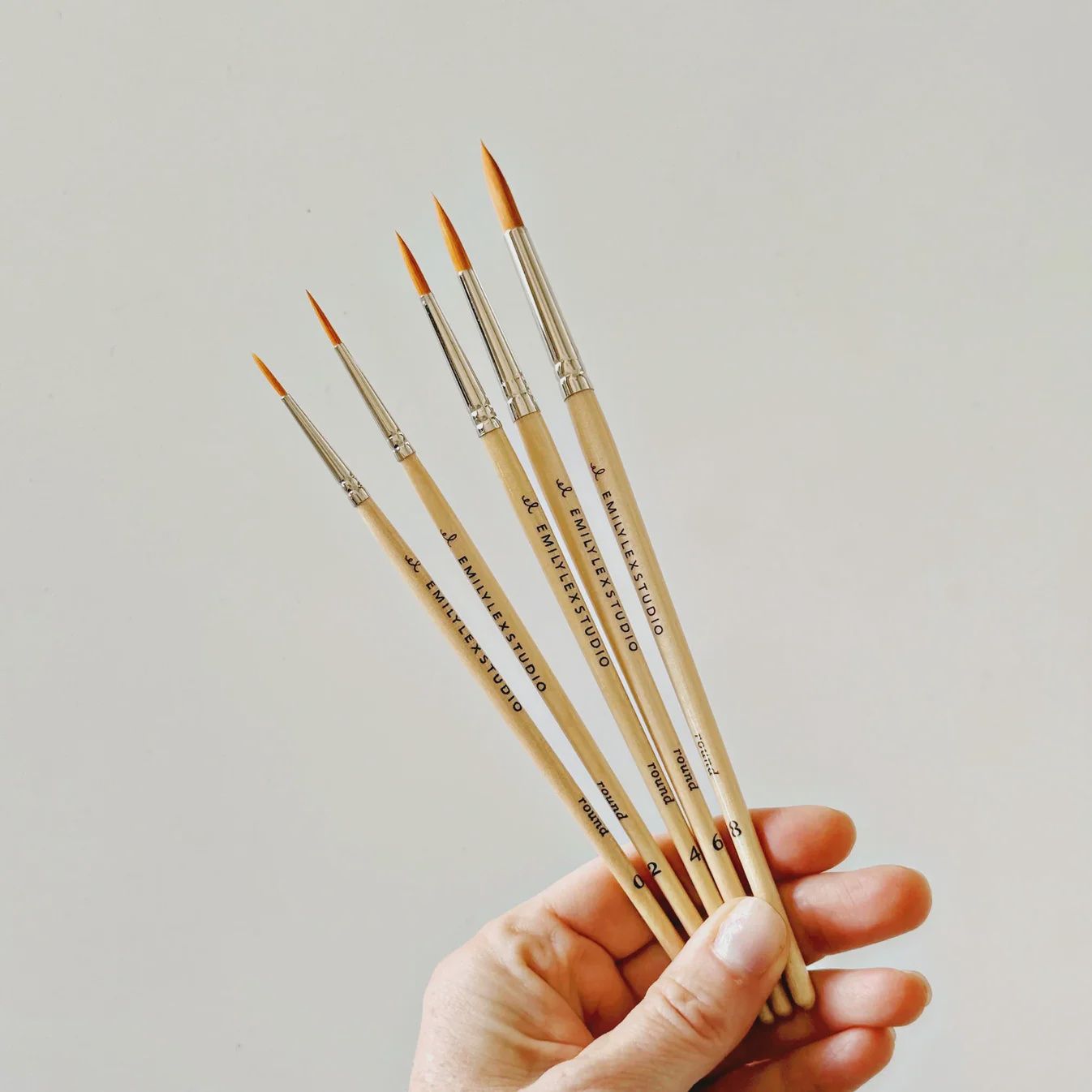 watercolor paintbrush set of 5 wood brushes