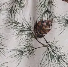 Evergreen Frost