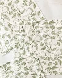 Gravenstein Apple Dishcloth set