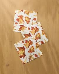Painted Fall Dishcloth set