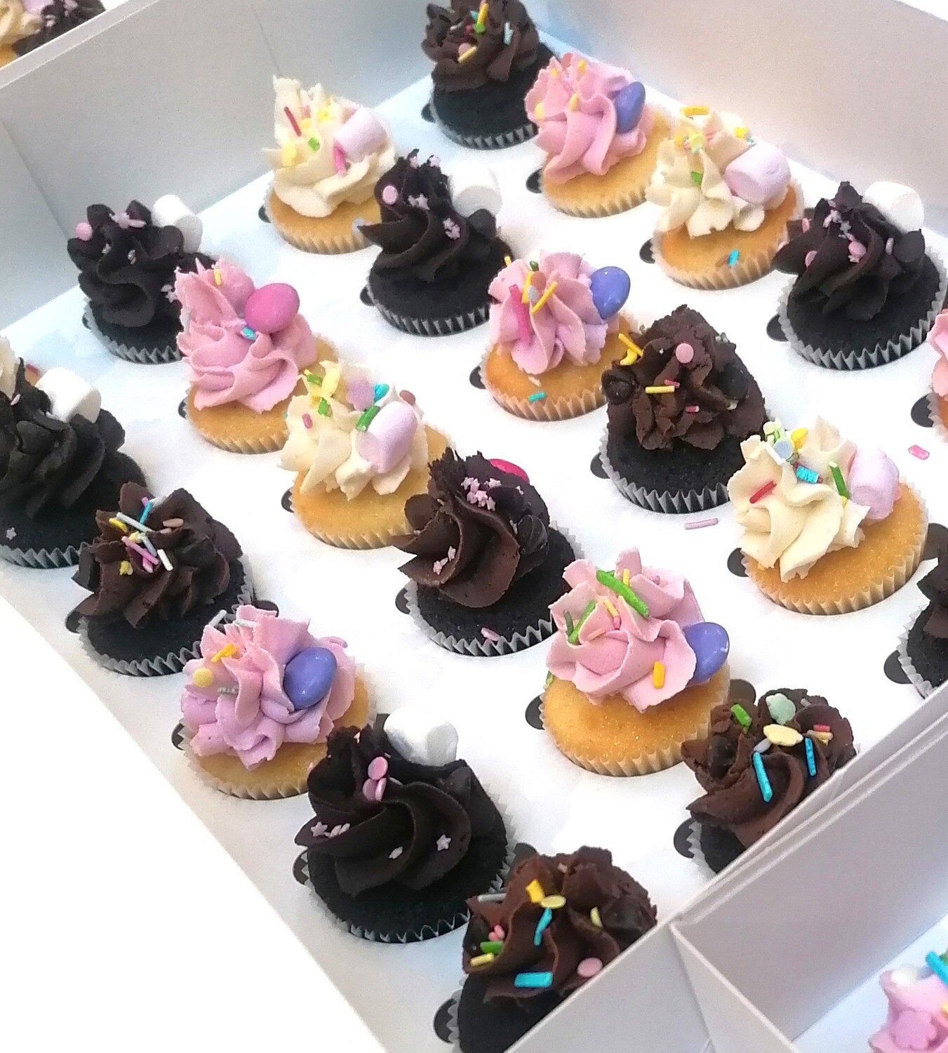 Mini Assorted Cupcakes