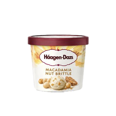 HAAGEN-DAZS MACADAMIA