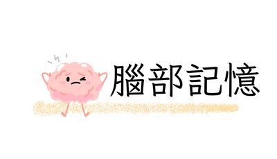 腦部記憶