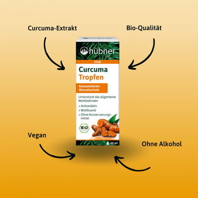 hübner Curcuma Tropfen 薑黃滴劑20 ml (有機bio)