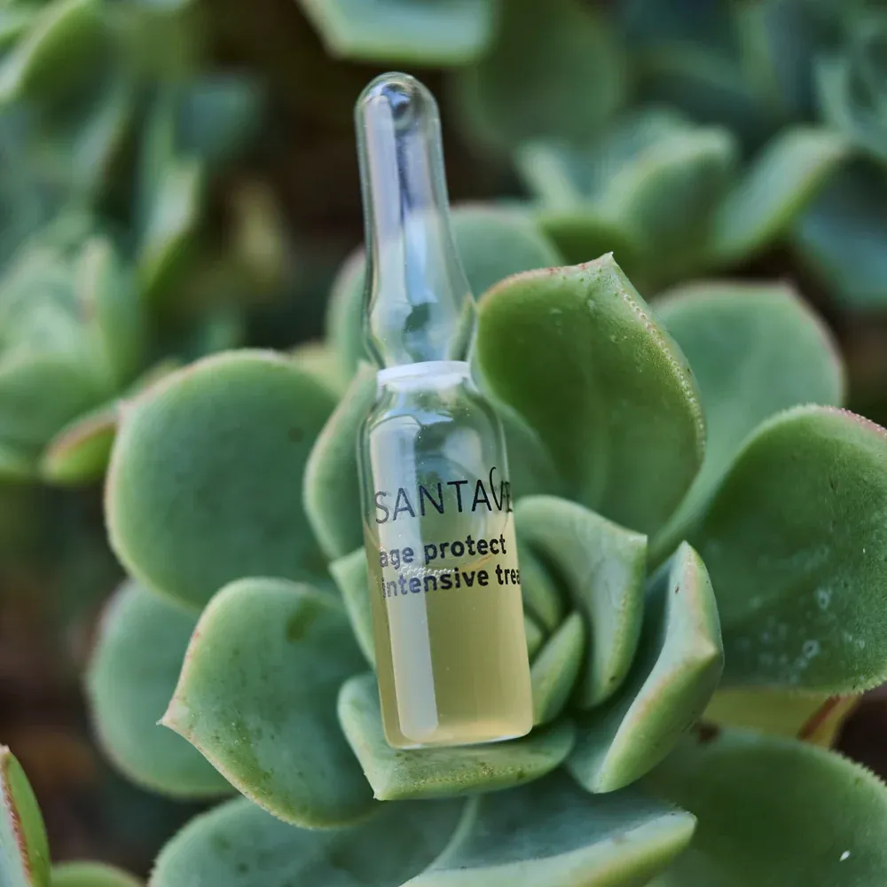 Santaverde  凍齡安瓶 age protect intensive treatment	10x1 ml