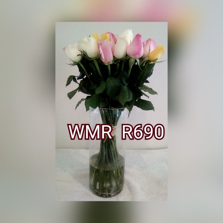 WMR