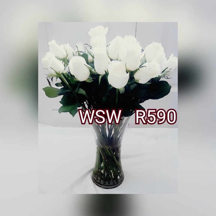 WSW