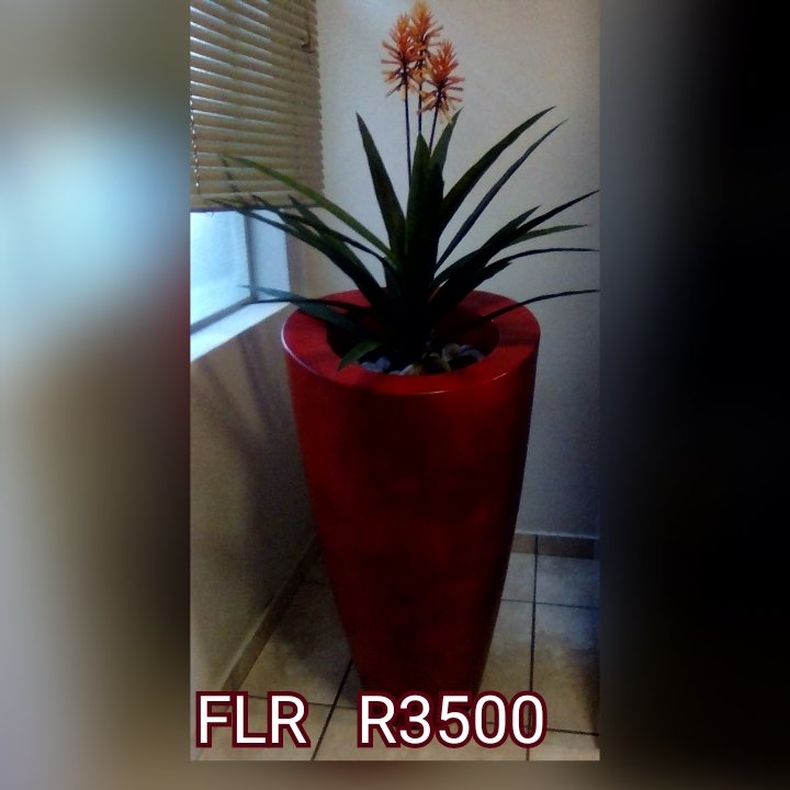 FLR