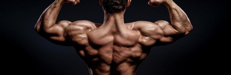 WORKOUT PROGRAM