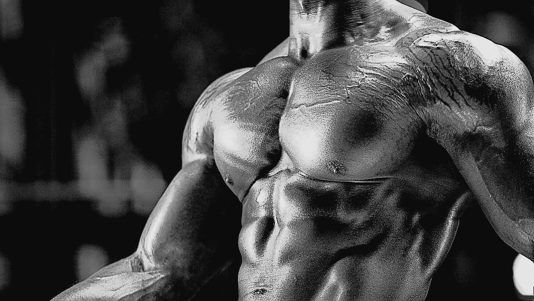 MASS GAIN 8 WEEKS WORKOUT PROGRAM FOR BEGGINER