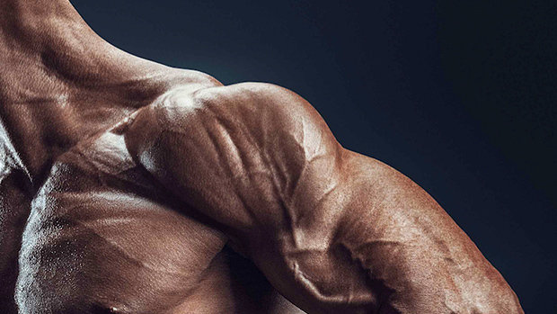 FAT SHREDDING 6 WEEKS PROGRAM