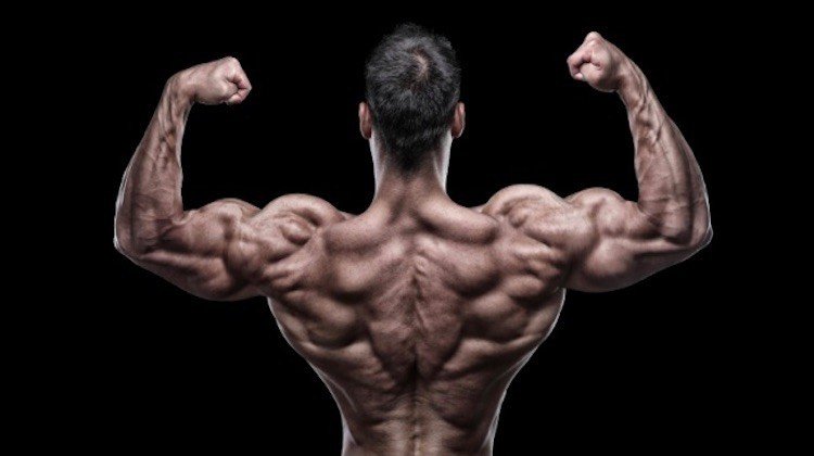 12 WEEKS TRANSFORMATION PROGRAM