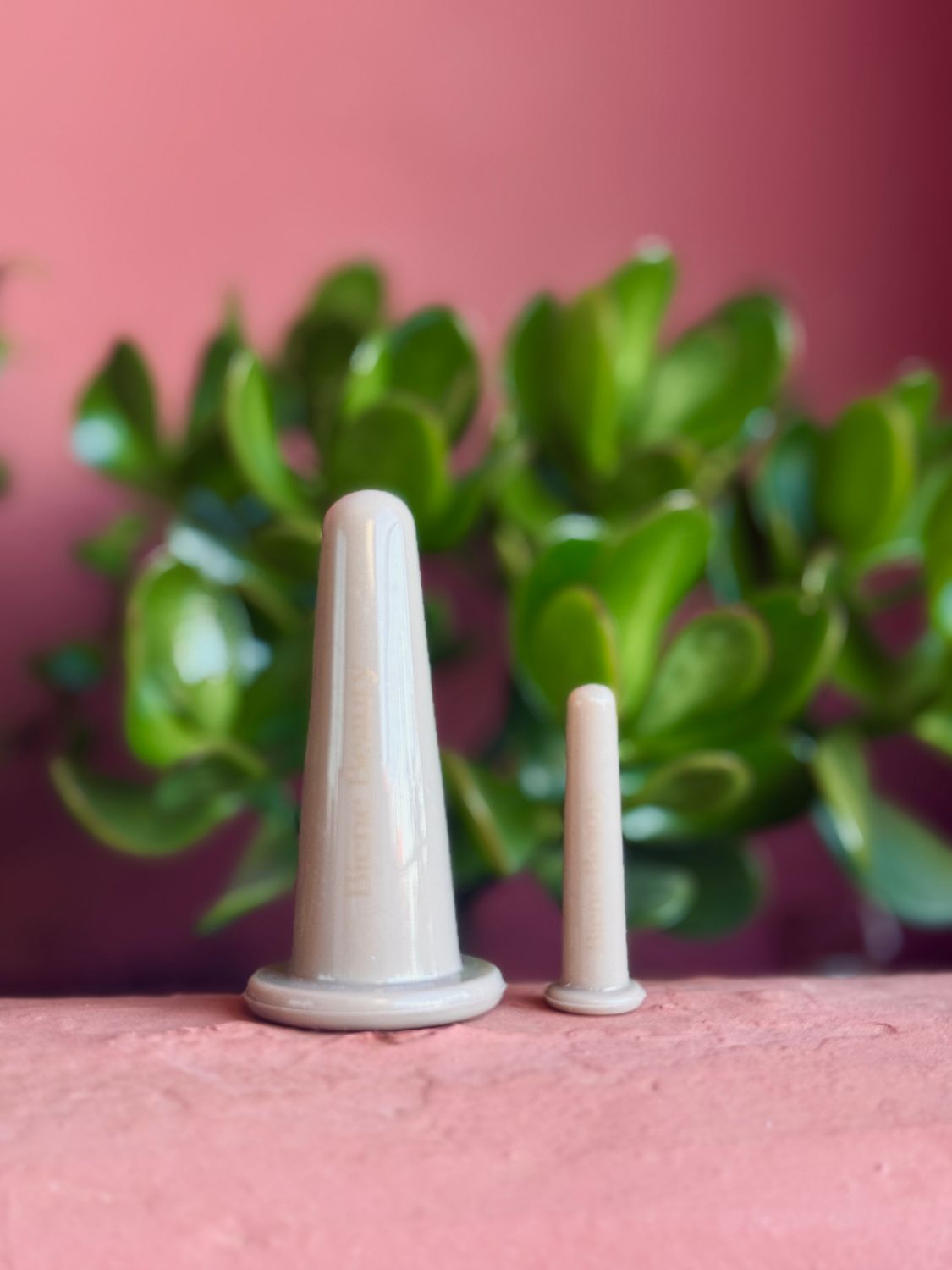 Bee Facial Cupping Set