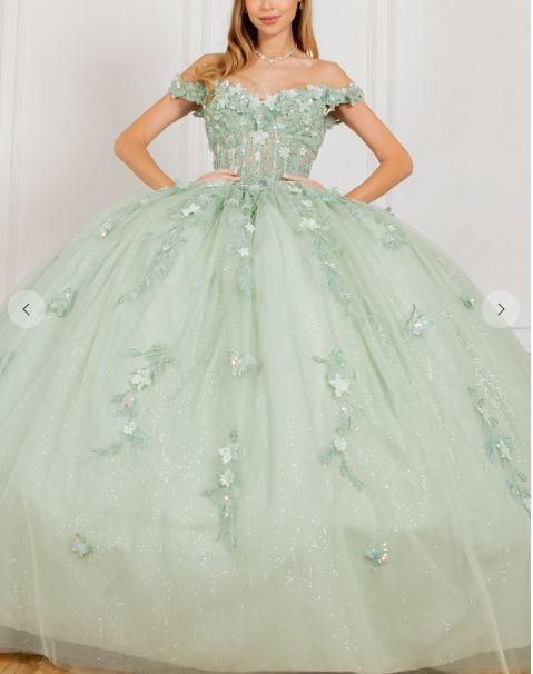 Quince Corset Princess Line Dress 8075J_SAGE