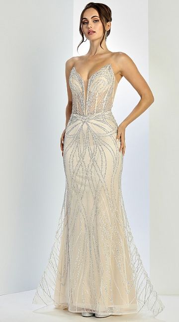 Elegant shiny long dress 3299