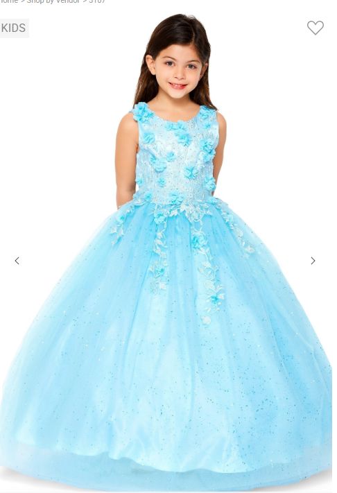 3d Floral Applique Glitter Tulle Floor Length 5107