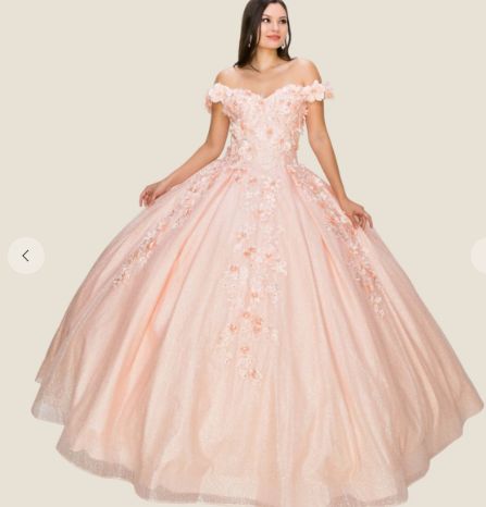 3d Floral Ball Room Gown 8020J